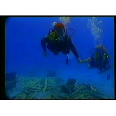 海底的召唤 红星国际剧场 国语录像版