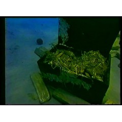 海底的召唤 红星国际剧场 国语录像版