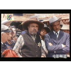 得克萨斯小夜曲 央视国语 录制版