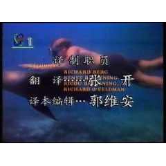 海狮的故事 央视国语录制版