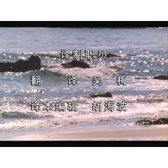 爱之潮 正大剧场 央视国语清晰版